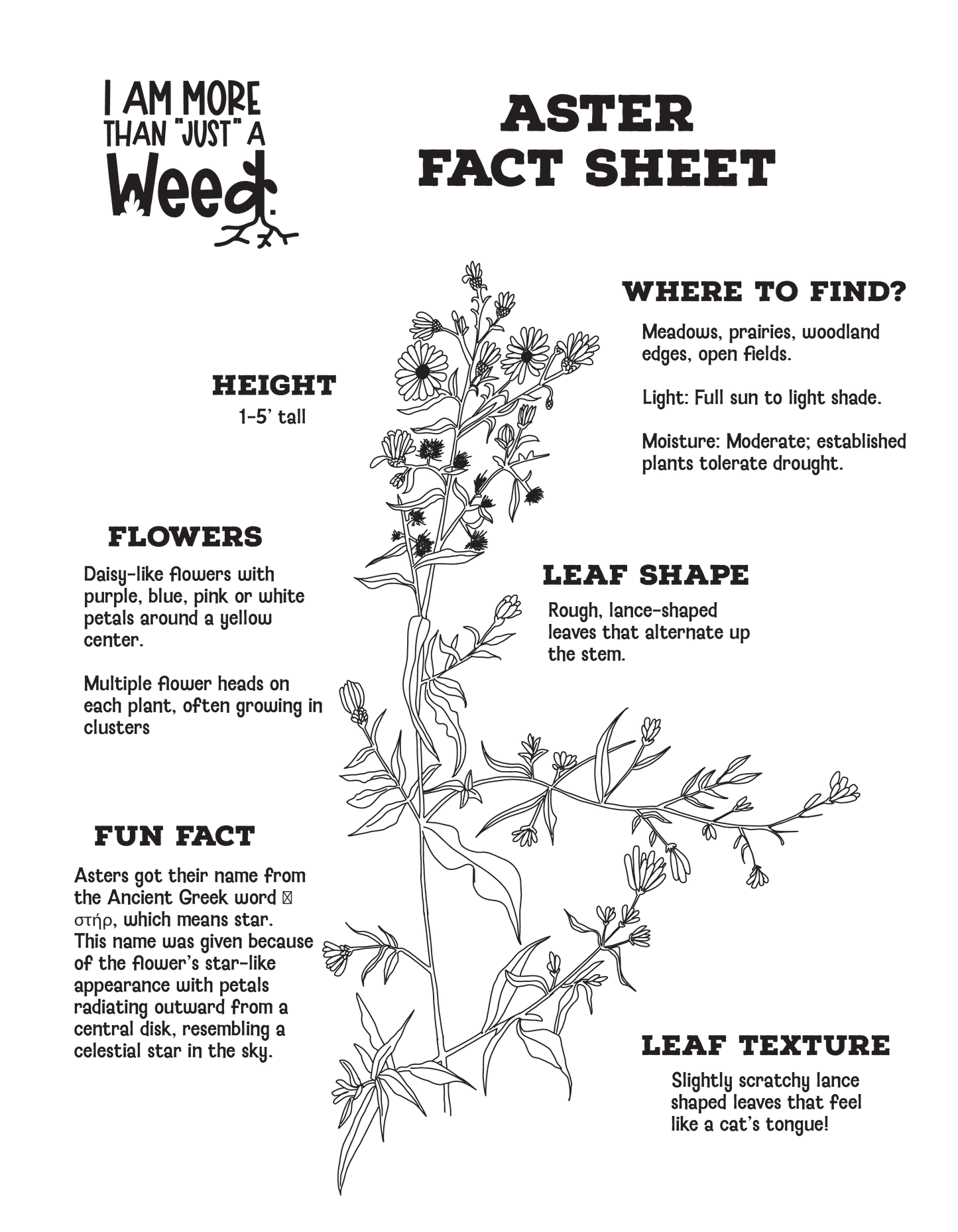Aster Fact Sheet