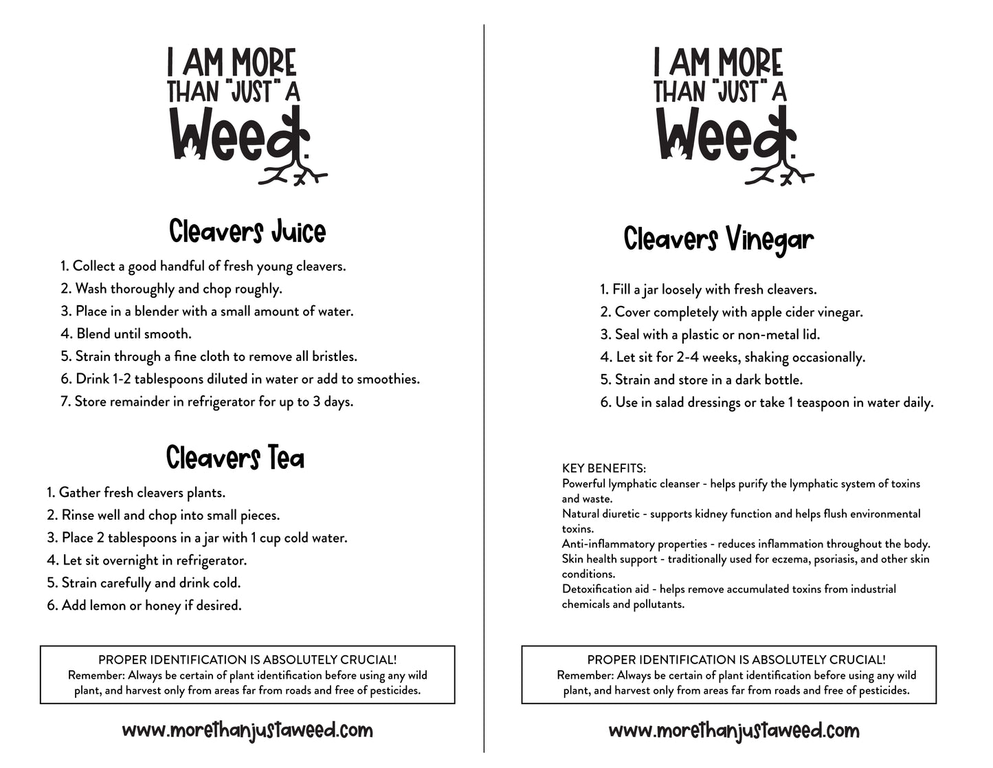 Cleavers Juice, Tea and Vinegar Recipes