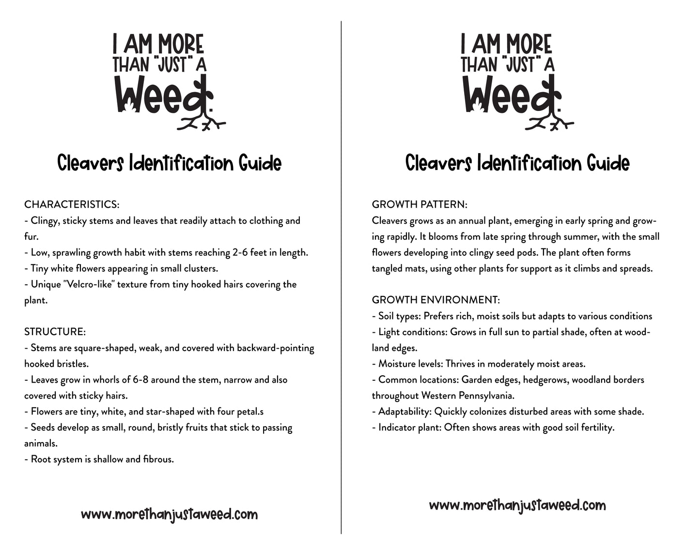 Cleavers Study Guide