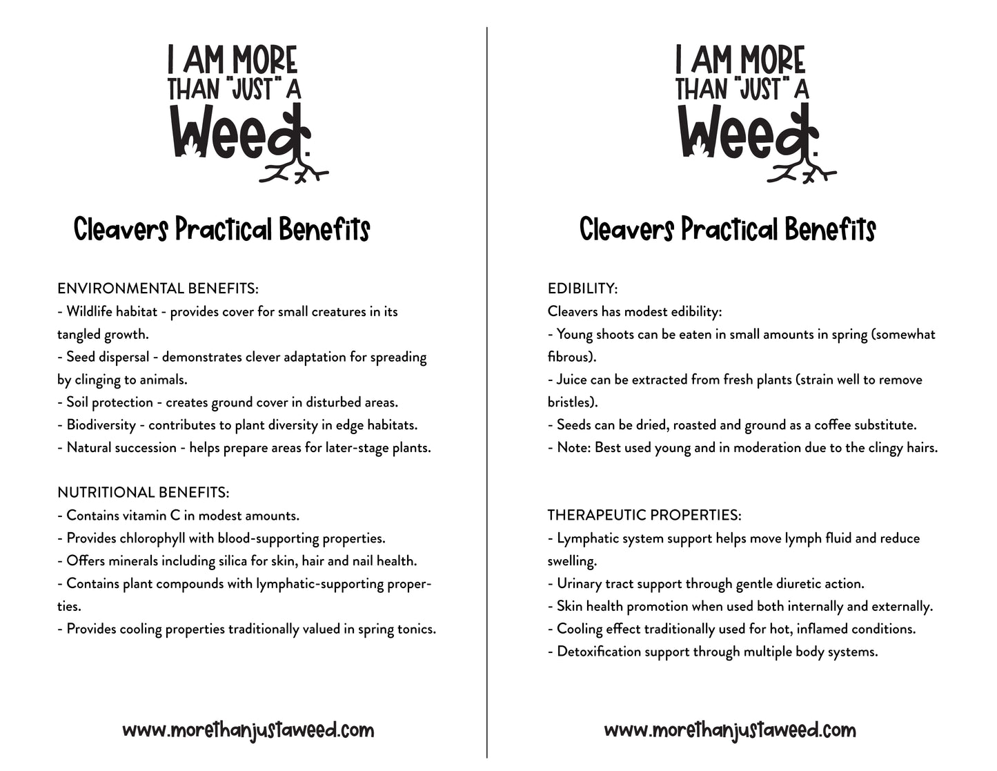 Cleavers Study Guide