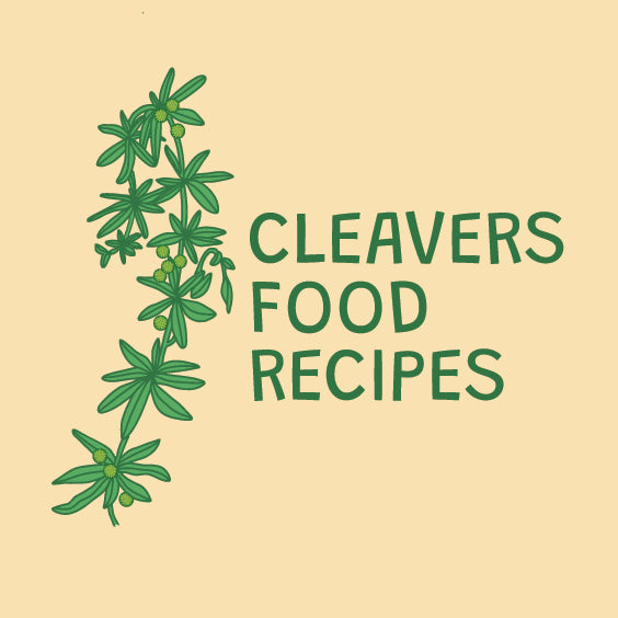 Cleavers Juice, Tea and Vinegar Recipes