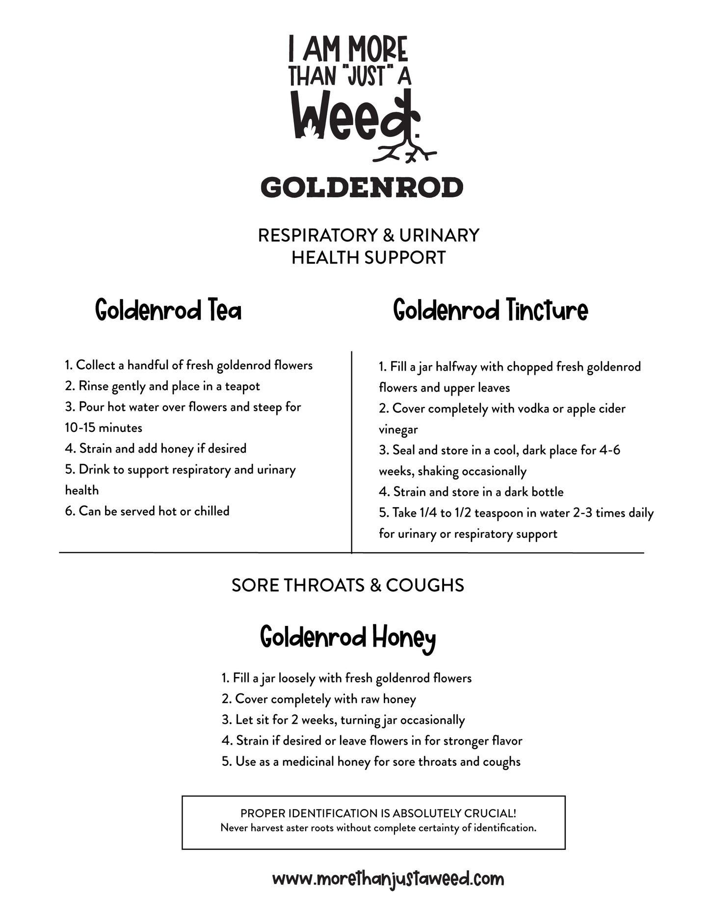 Goldenrod Medicinal Recipes