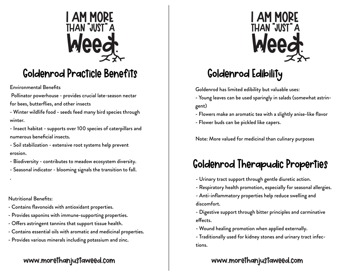 Goldenrod Study Guide
