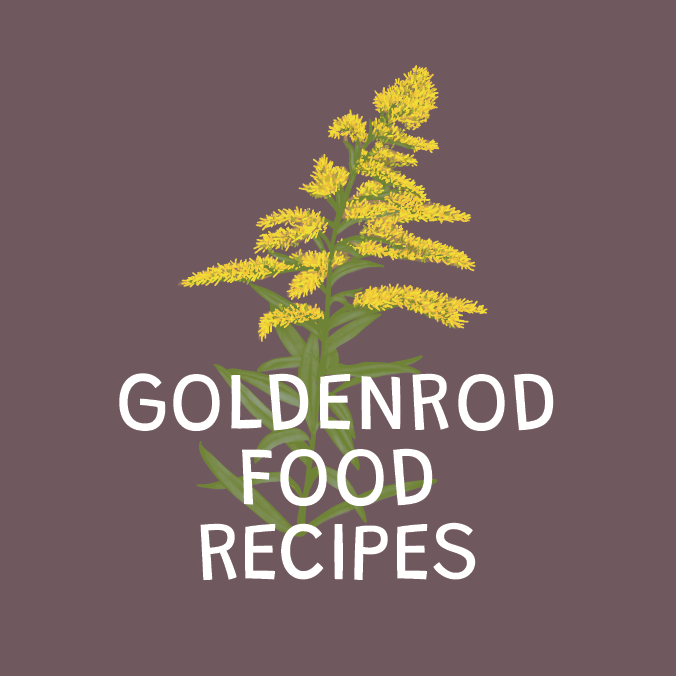 Goldenrod Food Recipes