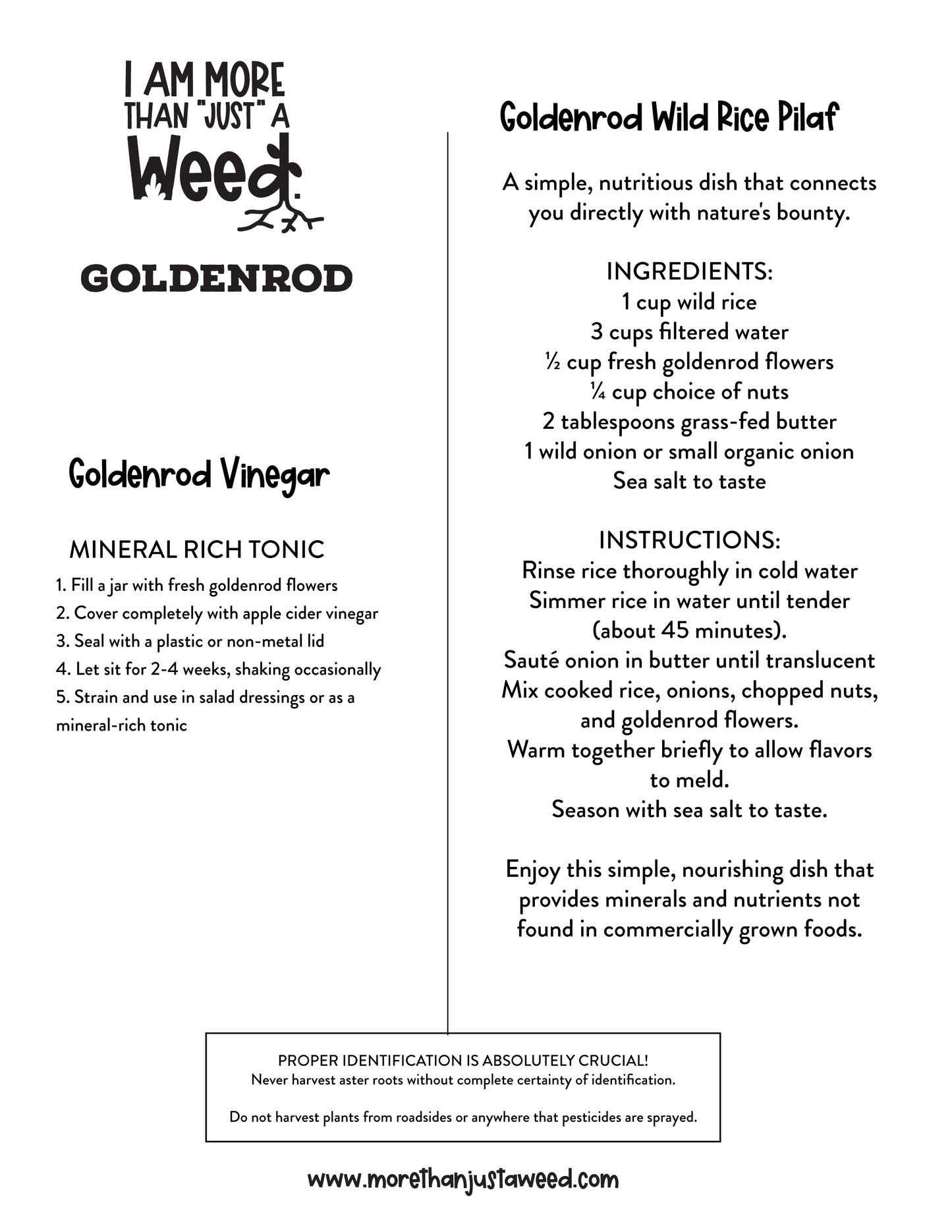 Goldenrod Food Recipes