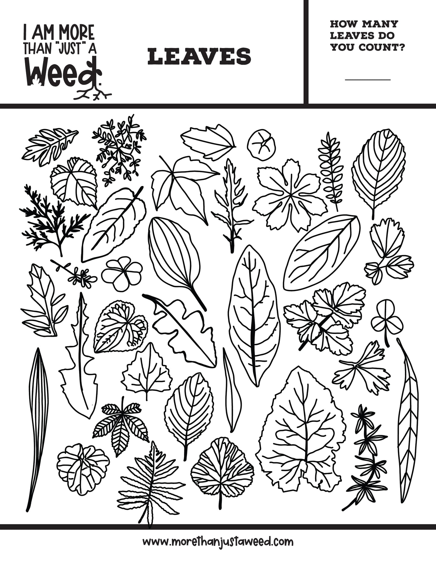 Leaves - Coloring Page