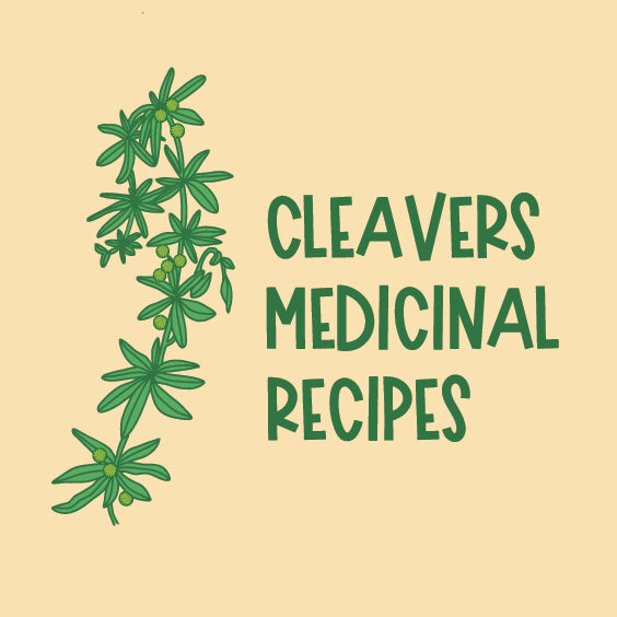 Cleavers Medicinal Recipes and Key Nutrients
