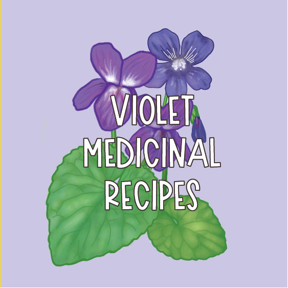 Violet Medicinal Recipes