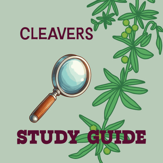 Cleavers Study Guide
