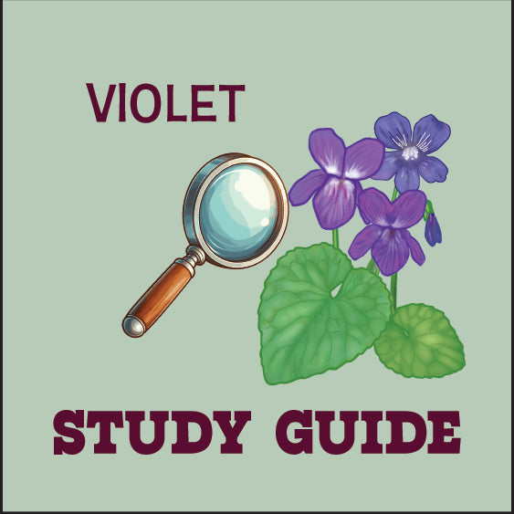 Violet Study Guide