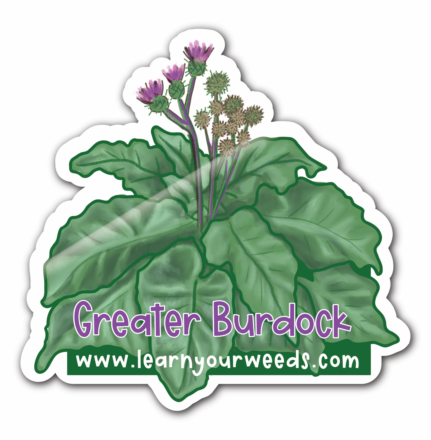 Greater Burdock Sticker