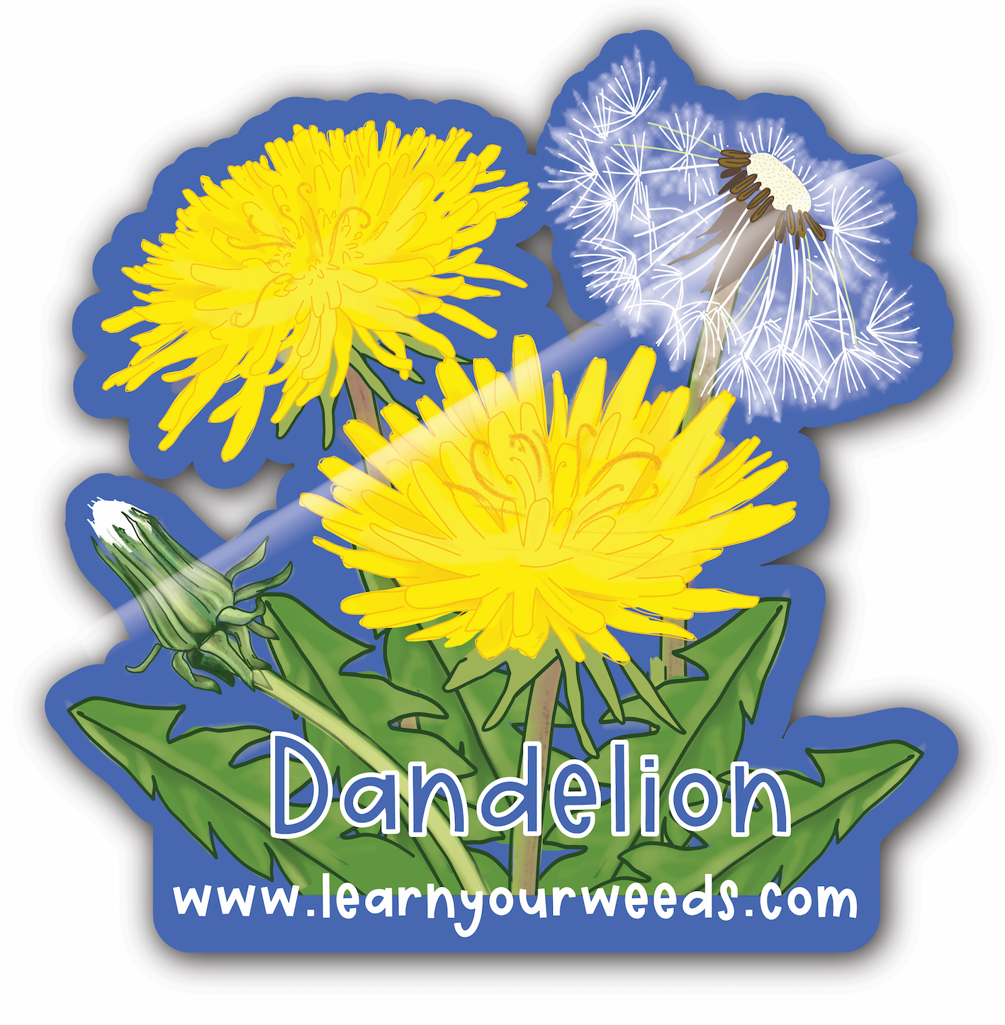 Dandelion Sticker