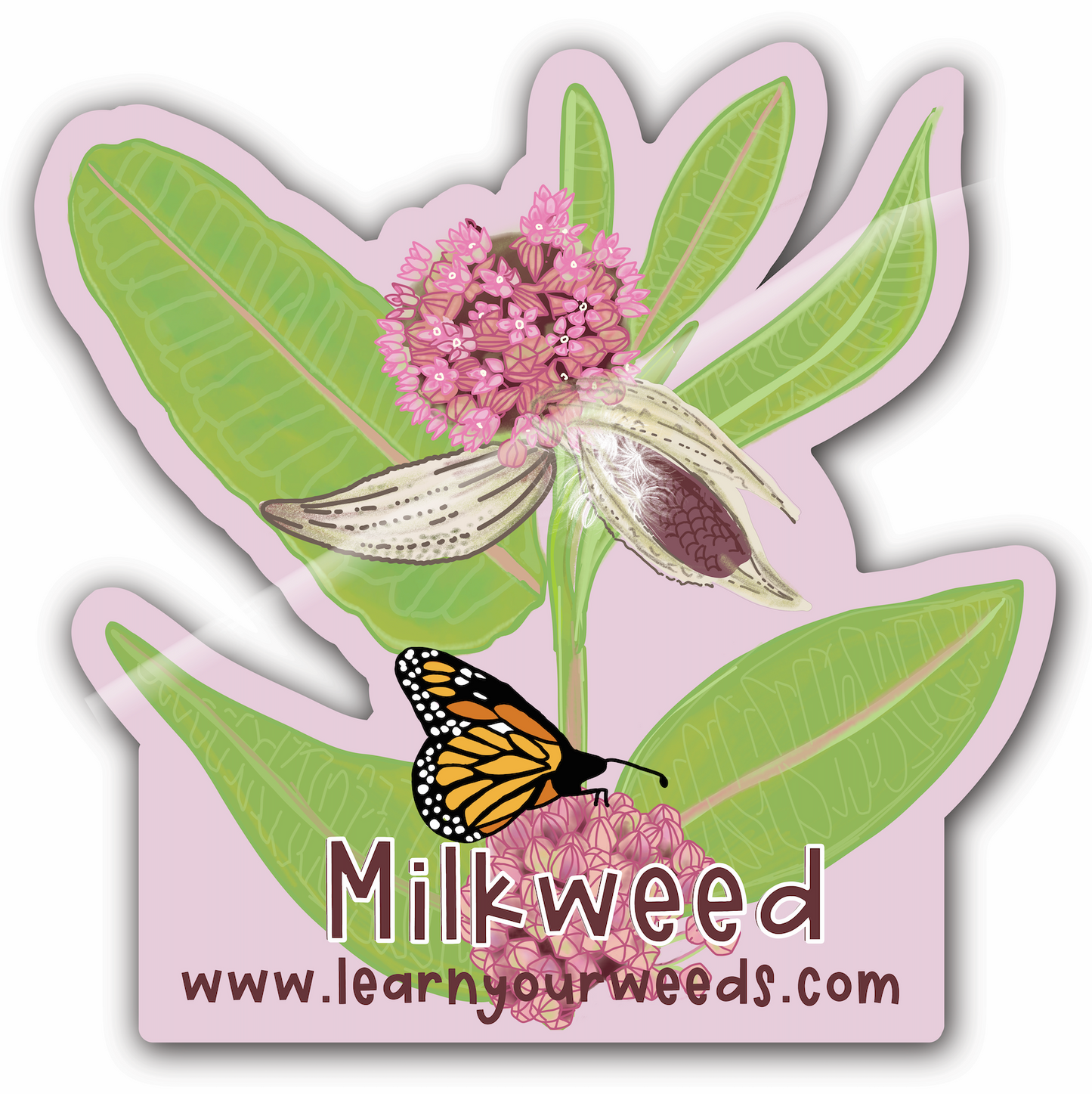 Milkweed Sticker