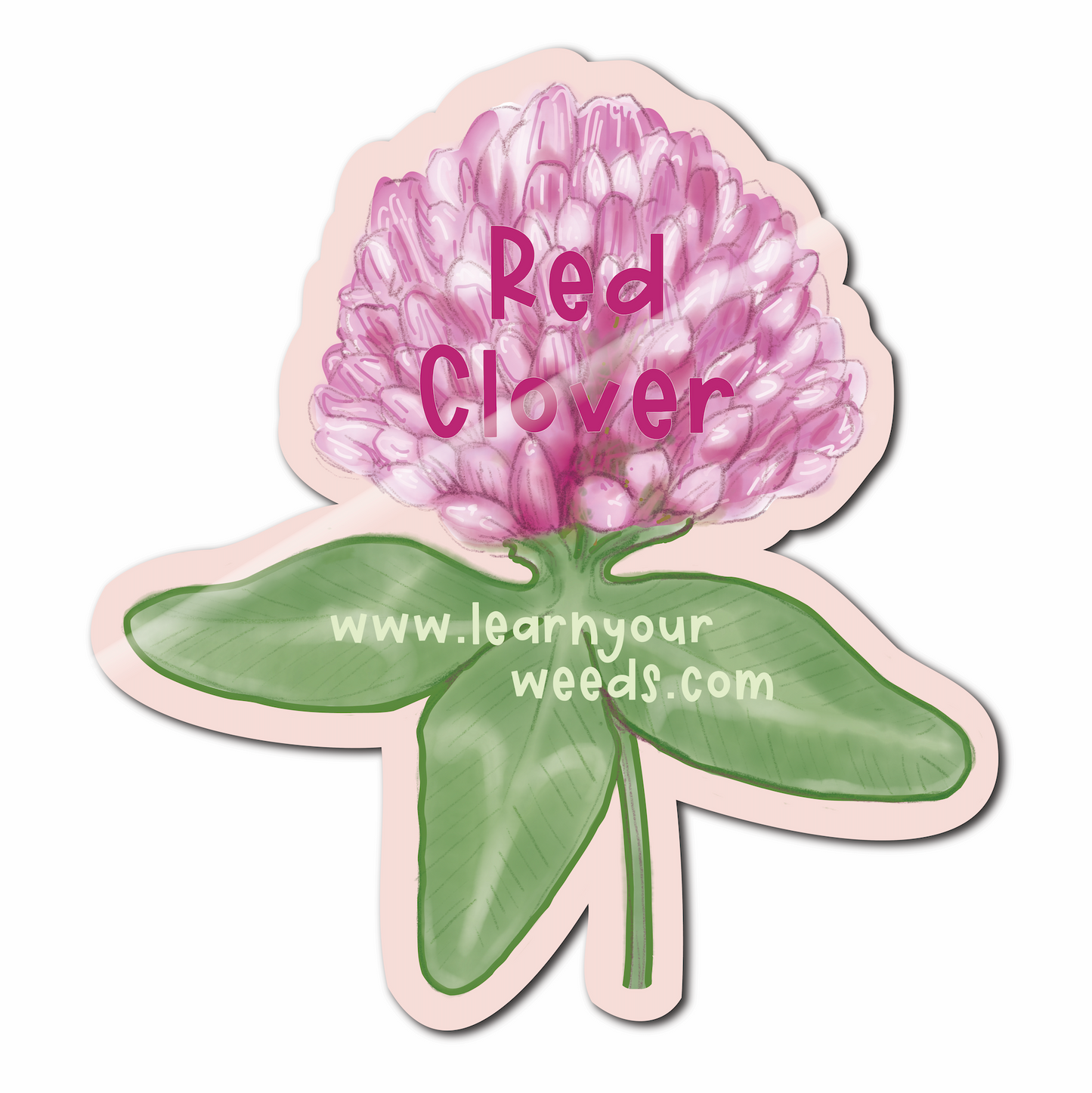 Red Clover Sticker