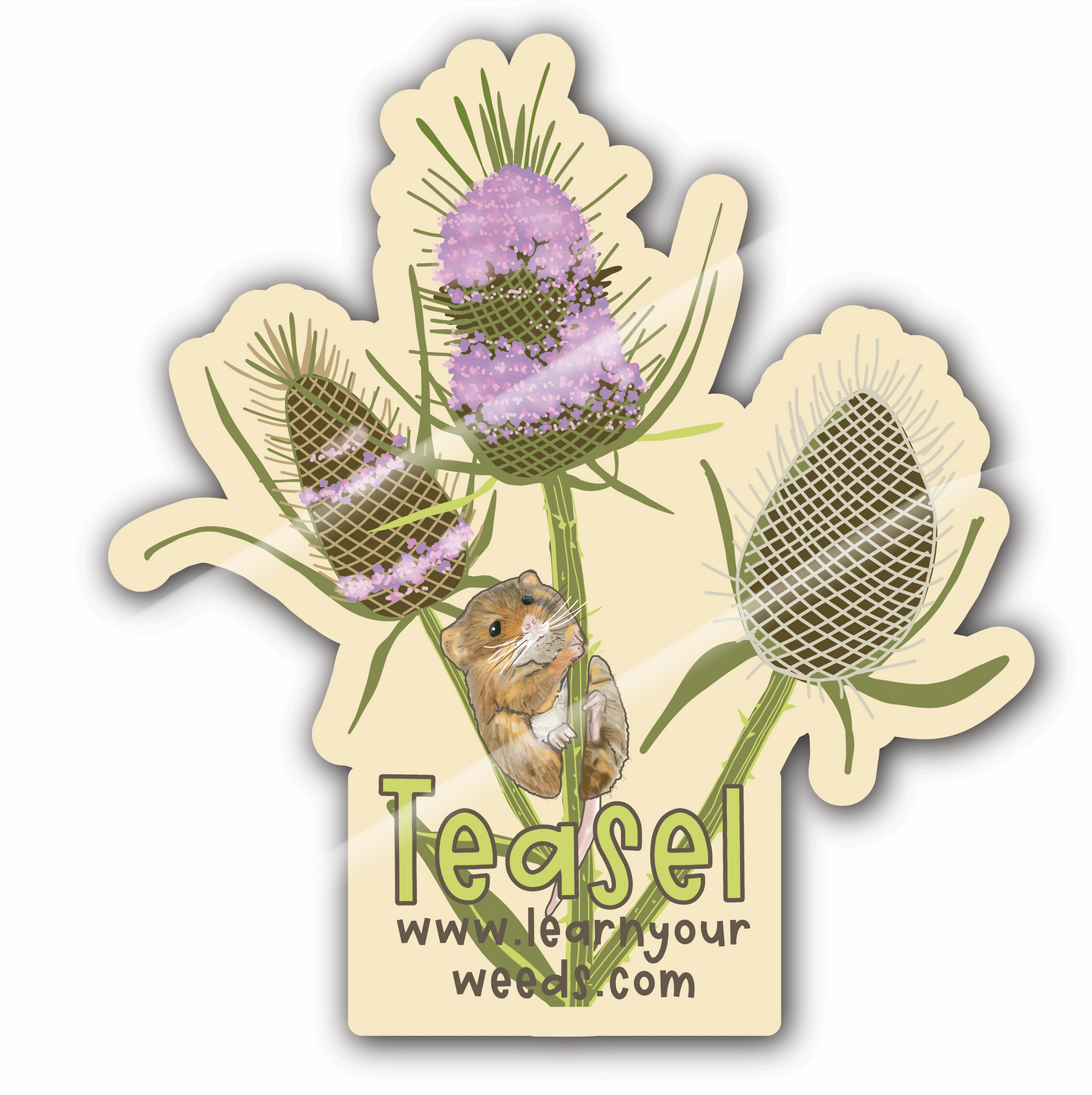Teasel Sticker