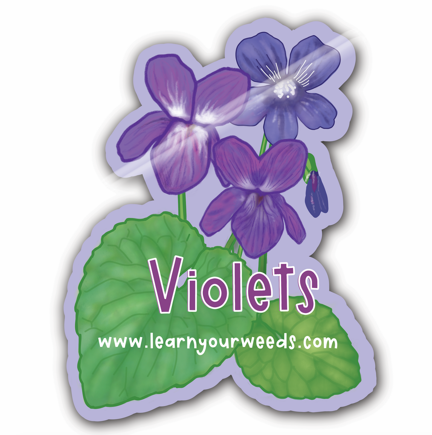 Violets Sticker