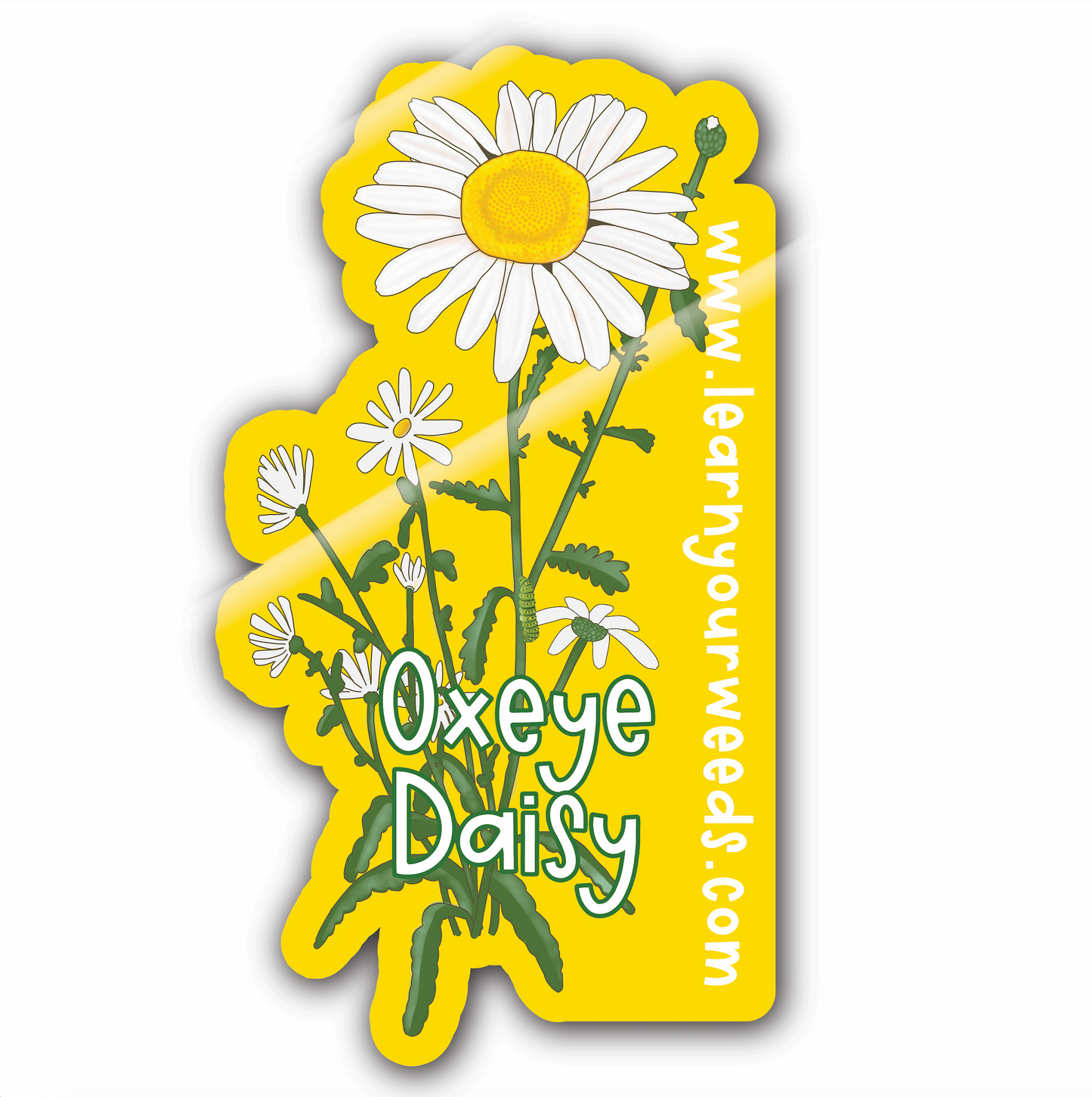 Daisy Sticker