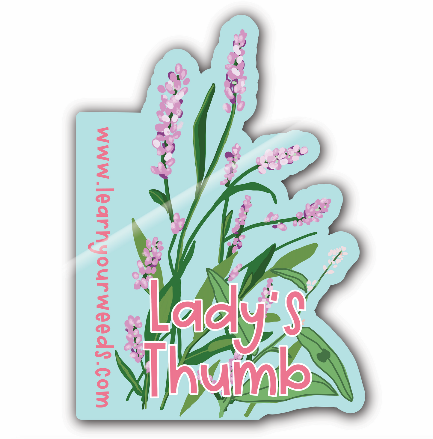 Lady's Thumb Sticker