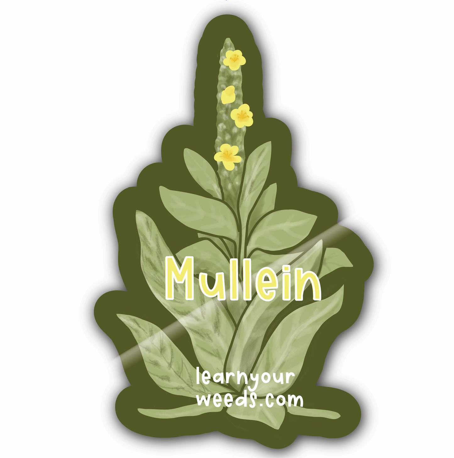 Mullein Sticker