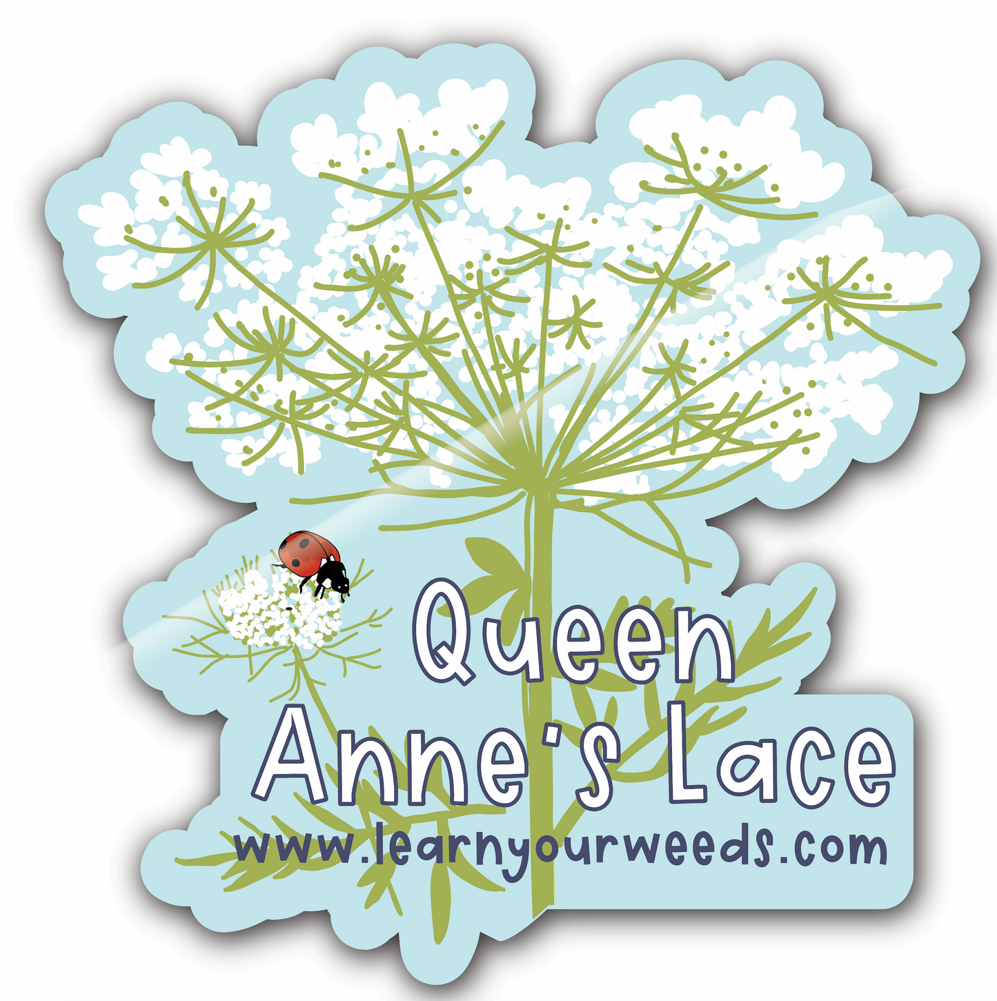 Queen Anne's Lace Sticker