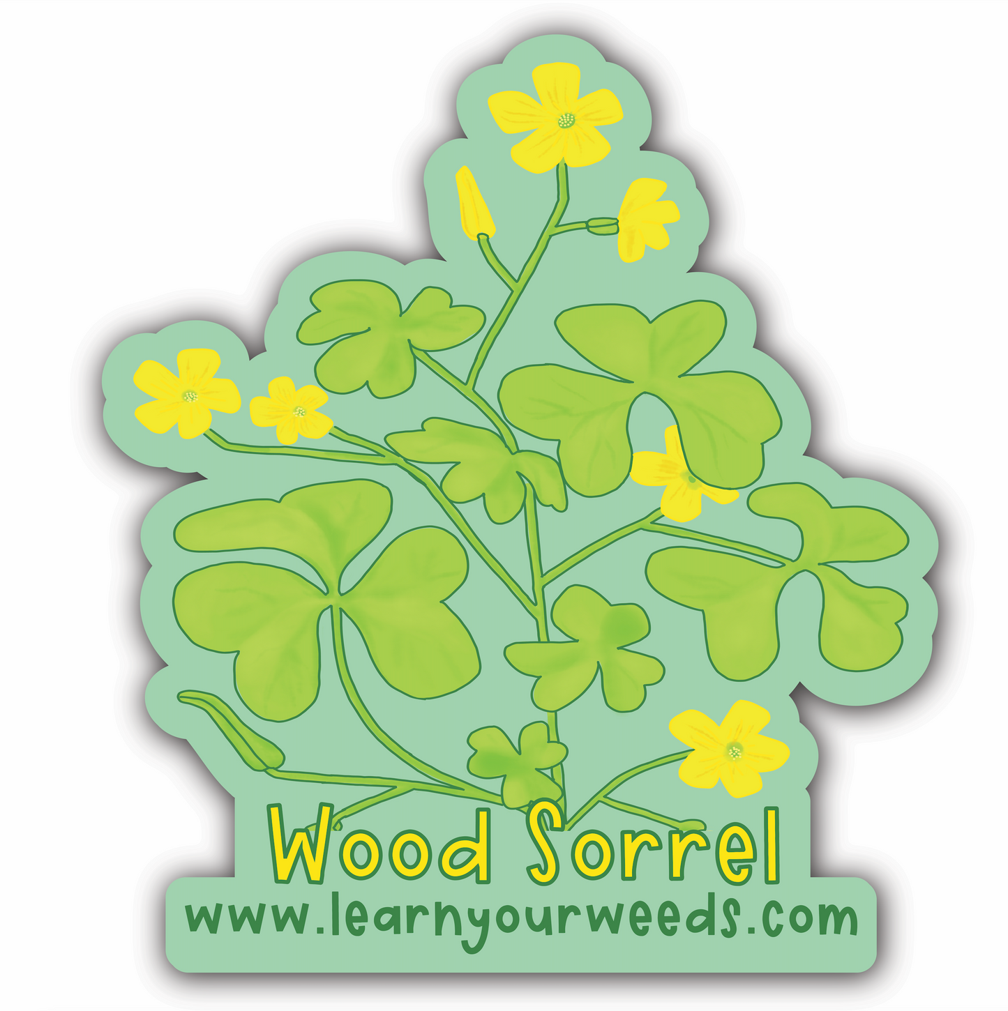 Wood Sorrel Sticker