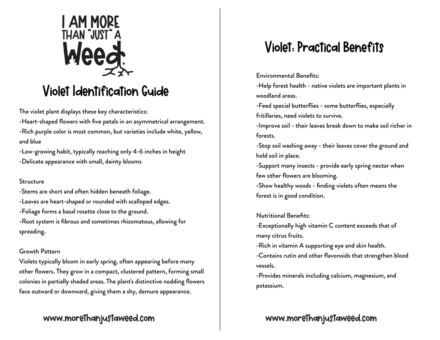 Violet Study Guide
