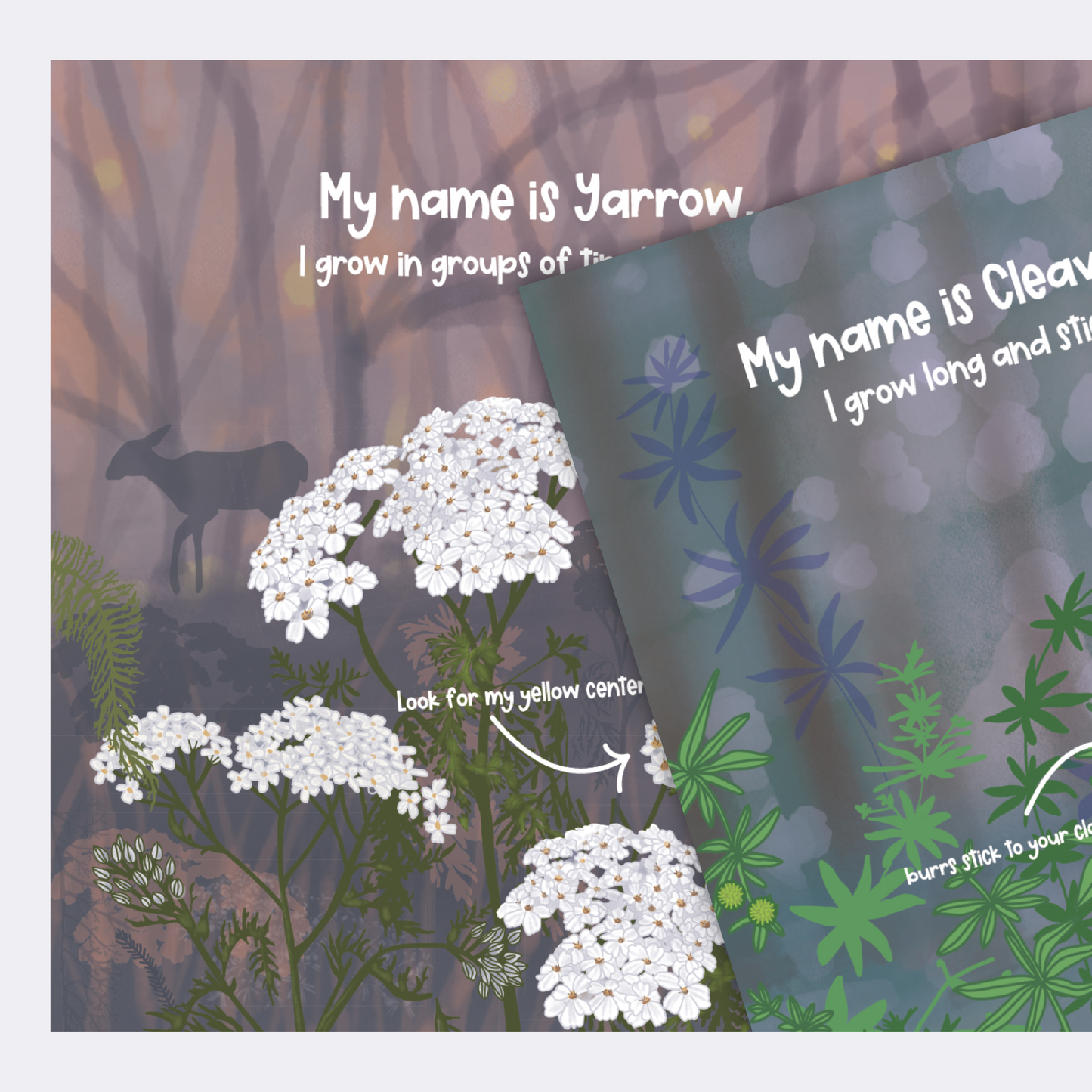 More Than "Just" a Weed - Soft Cover Book