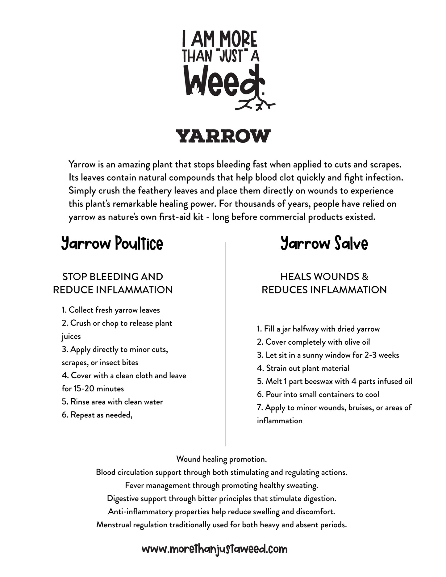 Yarrow Medicinal Recipes for Wound Care