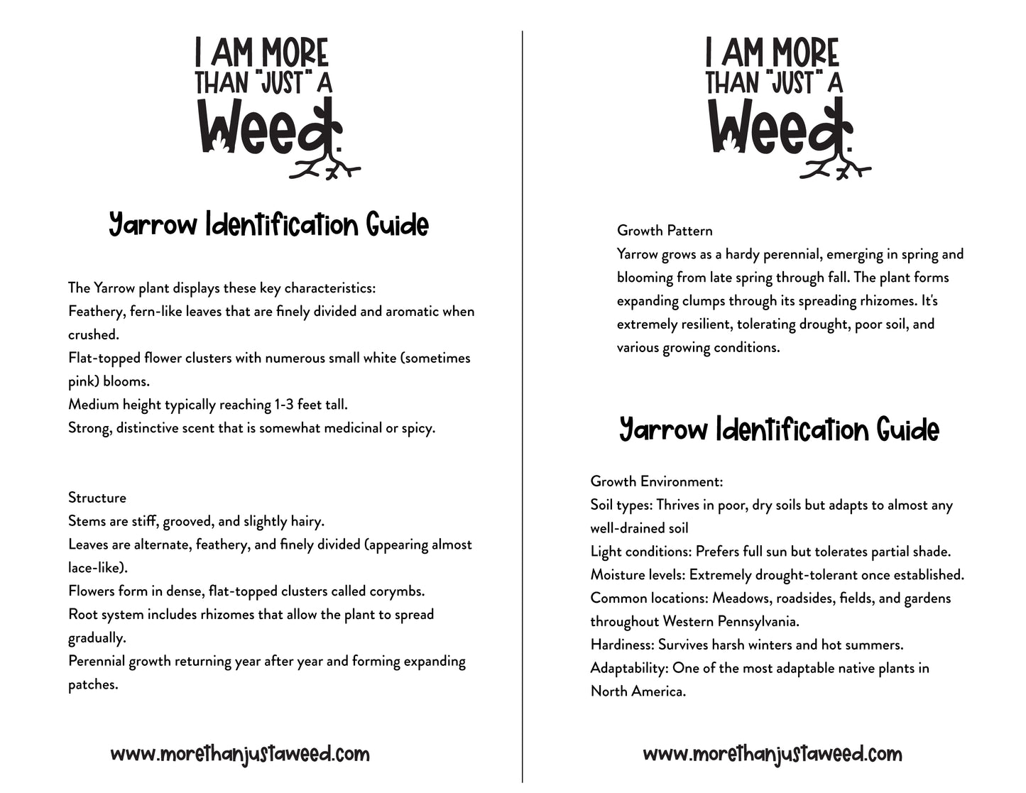 Yarrow Study Guide